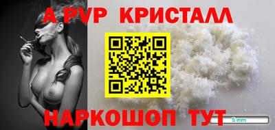 прущие грибы Долгопрудный