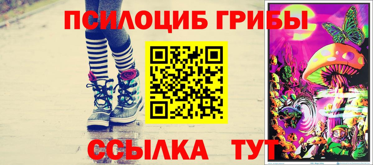Галлюциногенные грибы GOLDEN TEACHER  Вход с VPN  Вязники  Галлюциногенные грибы Cubensis 